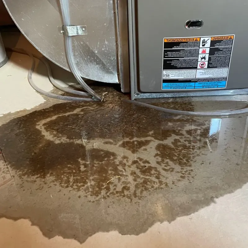 Pipe Burst and Leak Restoration in Sayre, OK