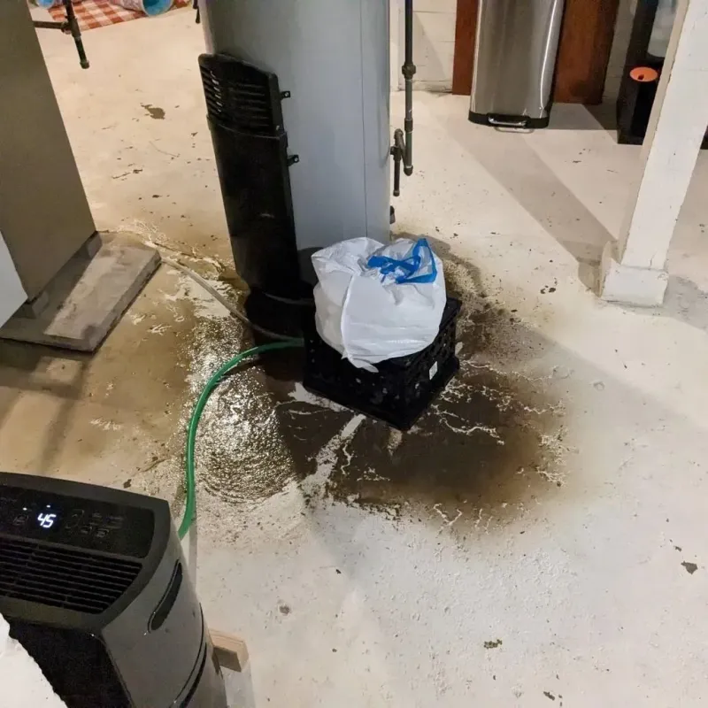 Sewage Backup Cleanup Service in Sayre, OK